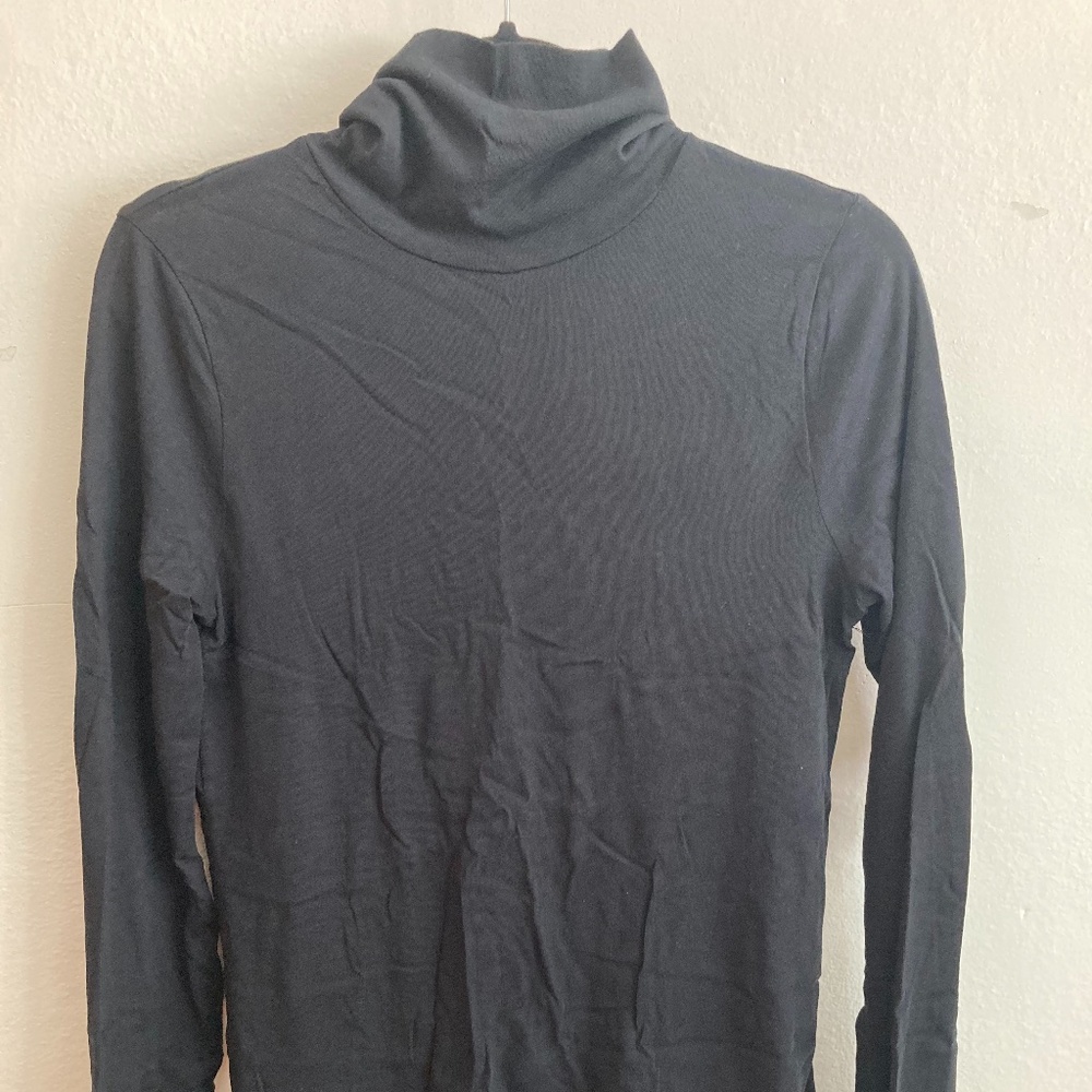 J Crew Tissue Turtleneck